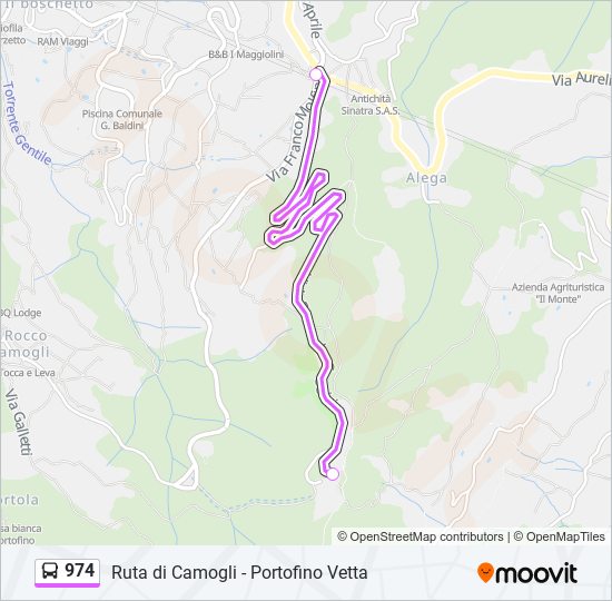 Percorso linea bus 974