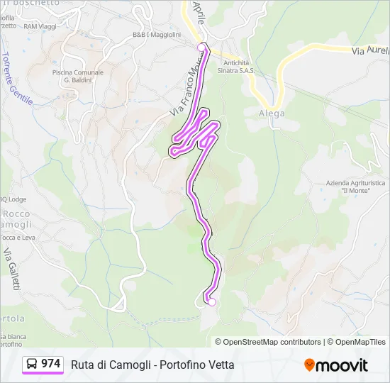 974 Bus Line Map