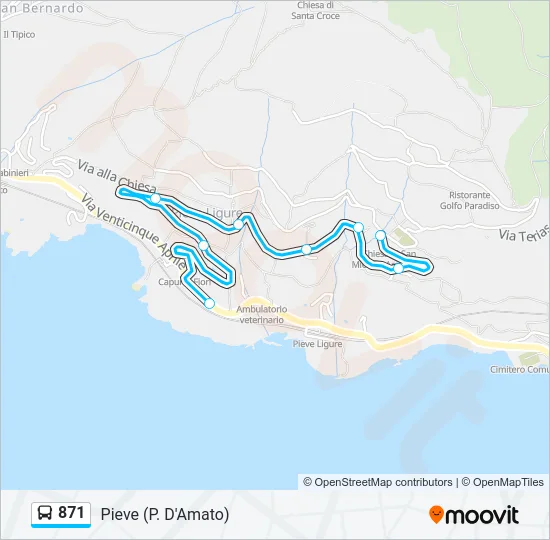 871 Bus Line Map