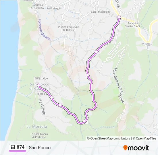 874 Bus Line Map