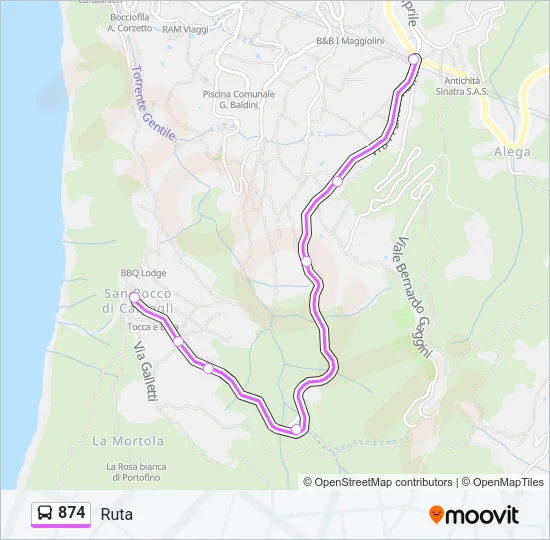 874 Bus Line Map