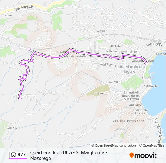 877 Bus Line Map