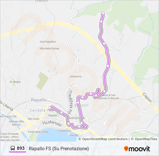 Percorso linea bus 893