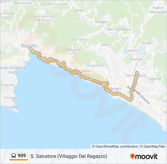 909 Bus Line Map
