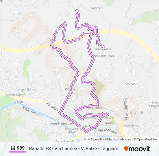 989 Bus Line Map