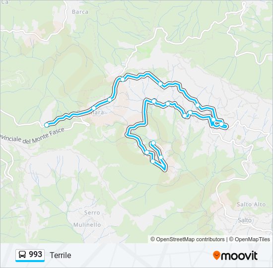 Percorso linea bus 993