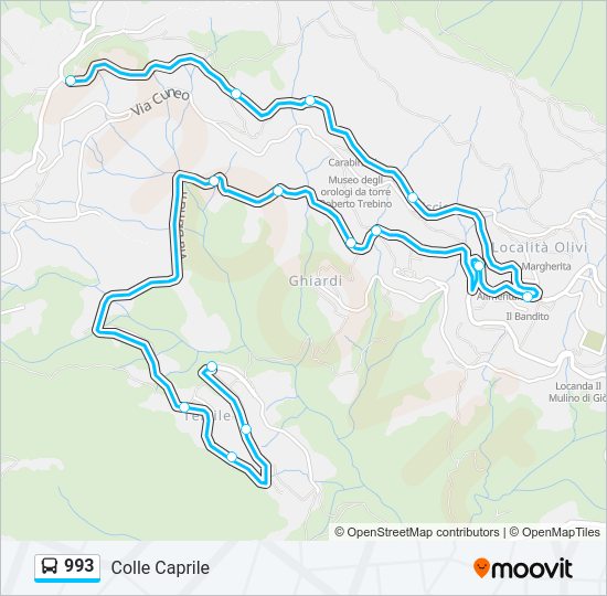 Percorso linea bus 993