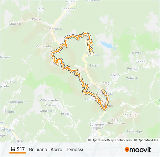 917 Bus Line Map