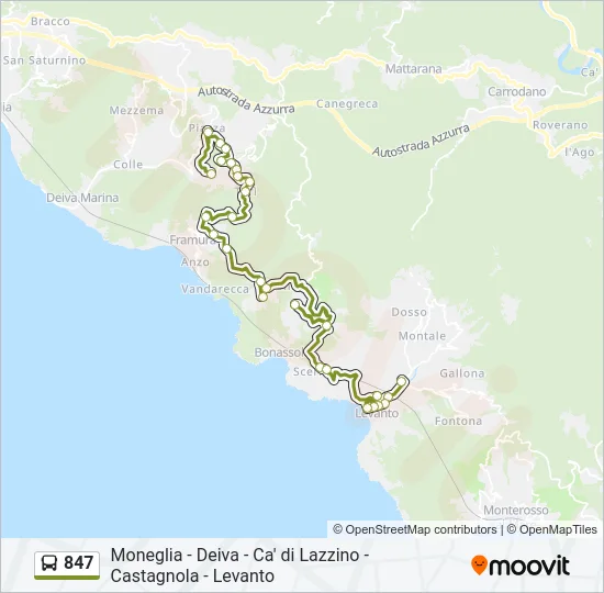847 Bus Line Map