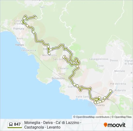 847 Bus Line Map