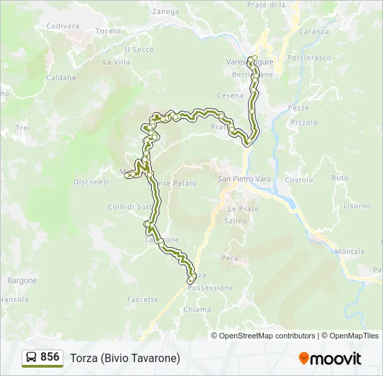 856 Bus Line Map