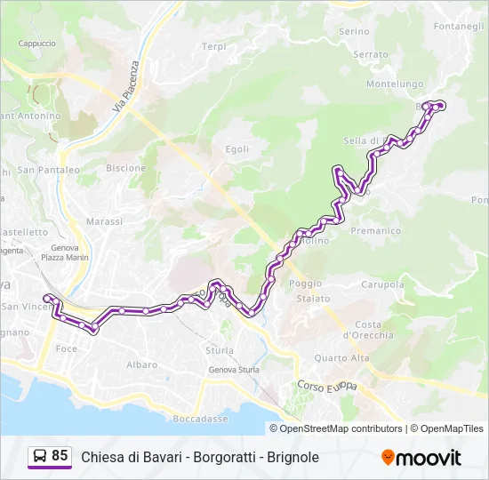85 Bus Line Map