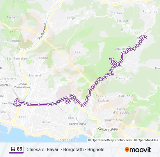 85 Bus Line Map