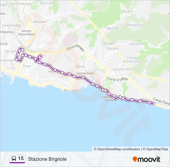 15 Bus Line Map