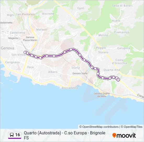 16 Bus Line Map