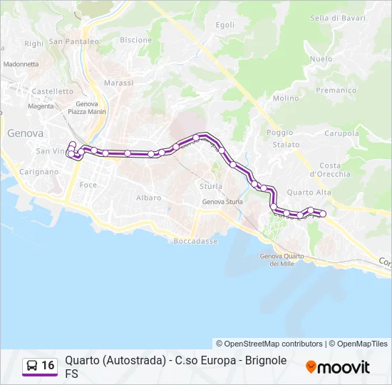 16 Bus Line Map