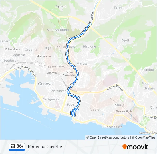 36/ Bus Line Map
