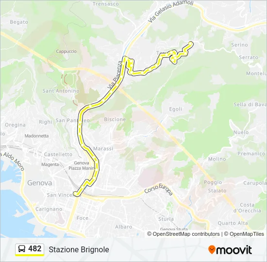 482 Bus Line Map