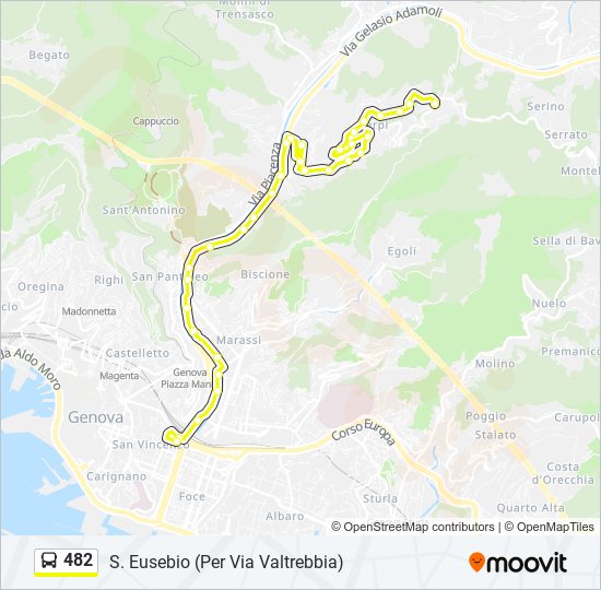 482 bus Line Map