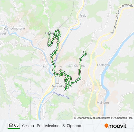 Percorso linea bus 65
