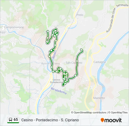 65 Bus Line Map