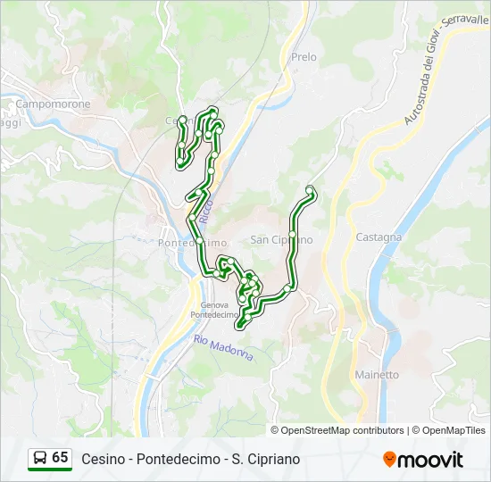 65 Bus Line Map