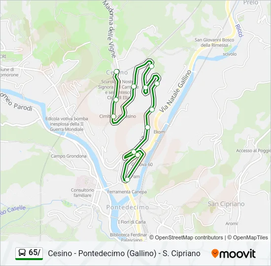 65/ Bus Line Map