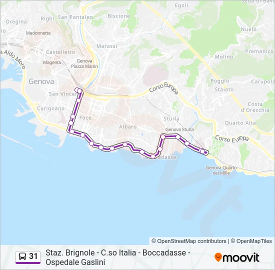 31 Bus Line Map