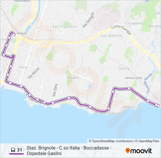 31 Bus Line Map