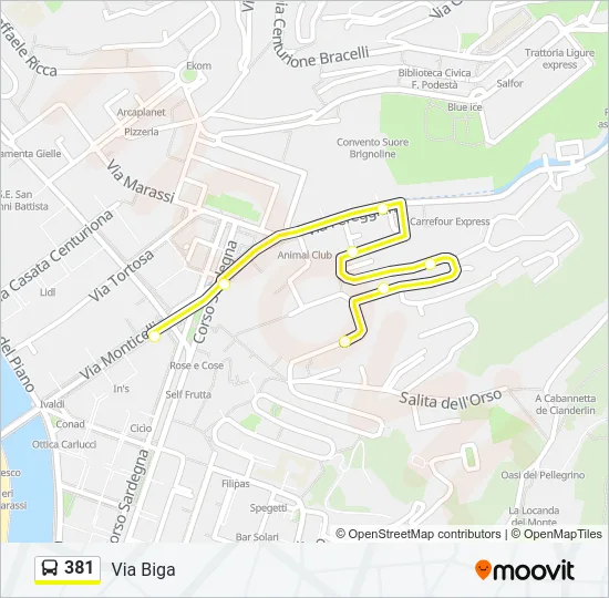 381 Bus Line Map