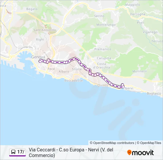 17/ Bus Line Map