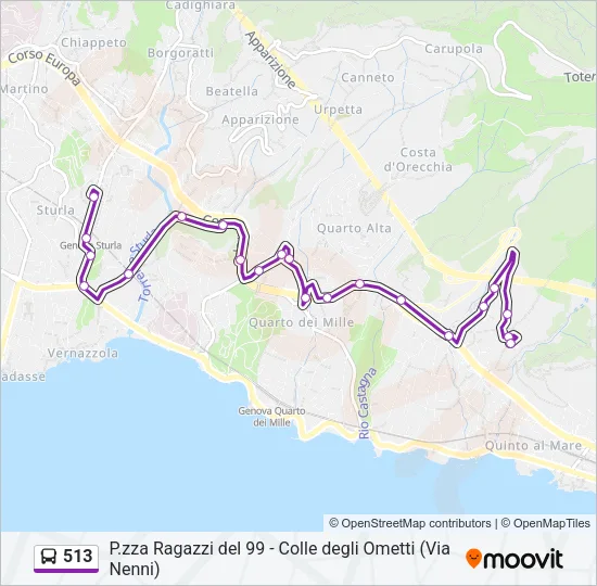 513 Bus Line Map