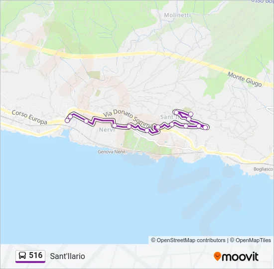 516 Bus Line Map