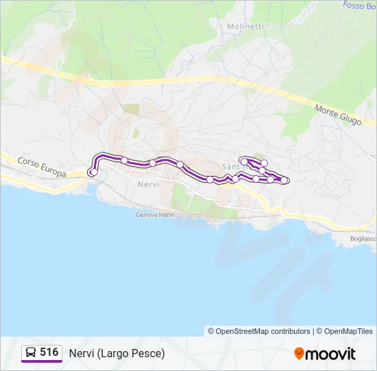 516 Bus Line Map