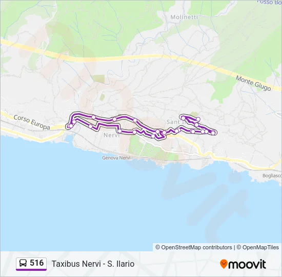 516 Bus Line Map