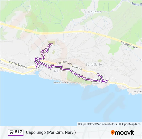 517 Bus Line Map