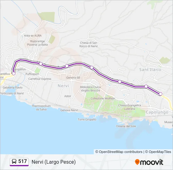 517 Bus Line Map