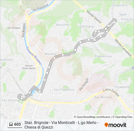 603 Bus Line Map