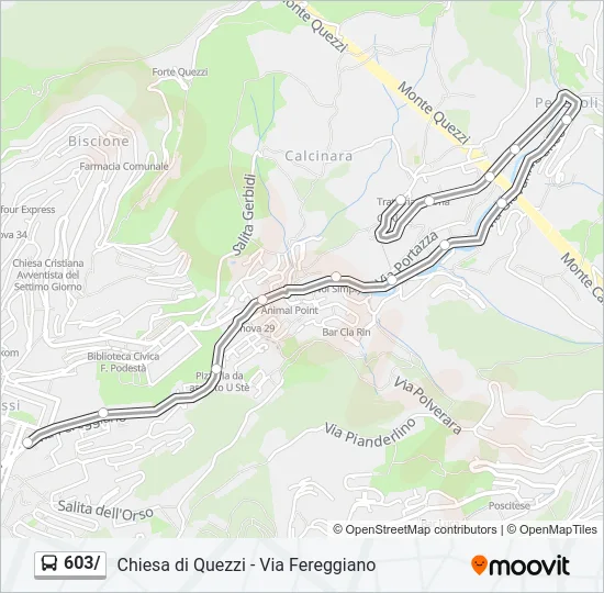 603/ Bus Line Map