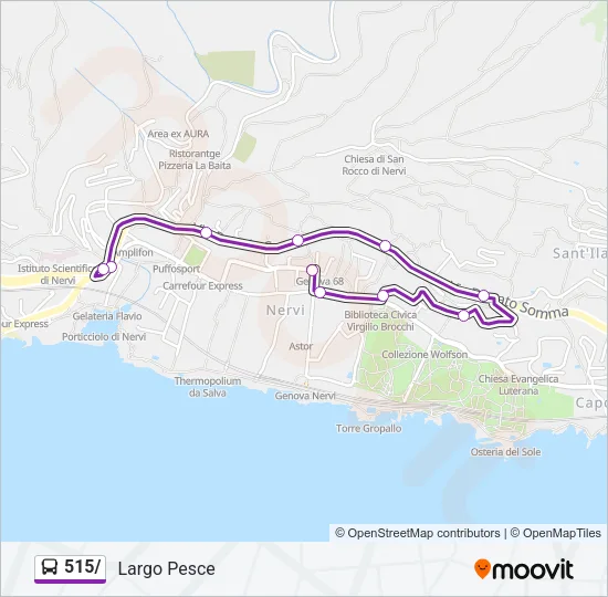 515/ Bus Line Map