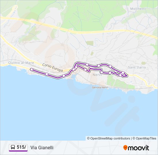 515/ bus Line Map