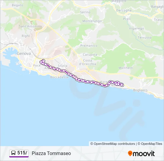 Percorso linea bus 515/