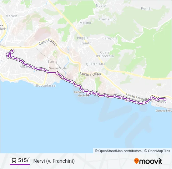 515/ Bus Line Map