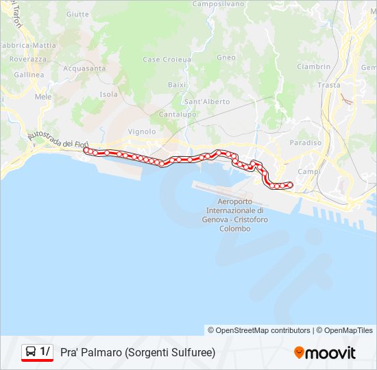 Percorso linea bus 1/