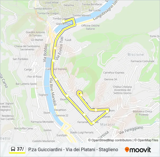 37/ Bus Line Map