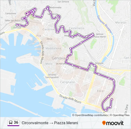 36 Bus Line Map