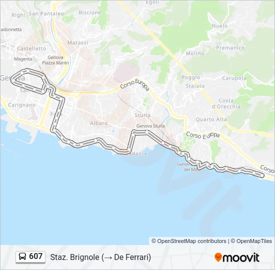 607 Bus Line Map