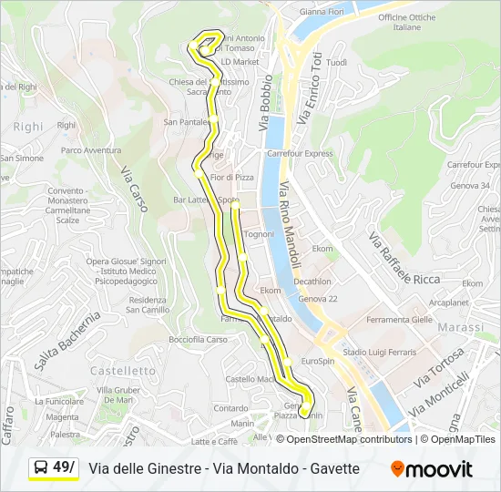 49/ Bus Line Map