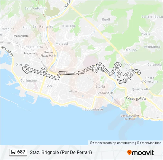 687 Bus Line Map