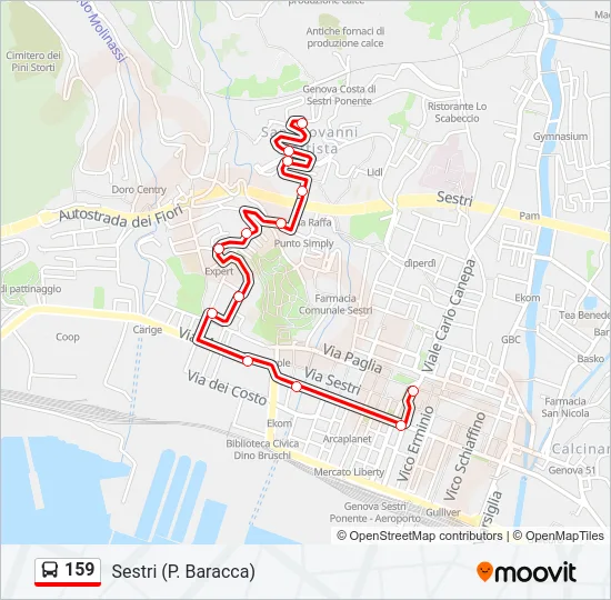 159 Bus Line Map